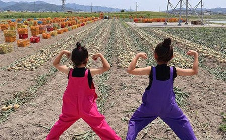 【先行予約！】あわじ島完熟たまねぎ 3kg　◆配送６月～12月下旬