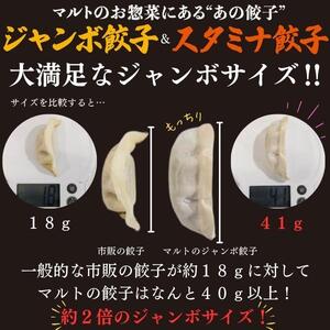 マルト冷凍ジャンボぎょうざ&冷凍スタミナぎょうざ15個入×各種1袋（30個）EQ042-mx