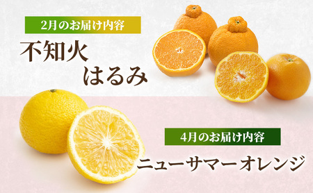 みかん 河津町旬のみかんセット ミカン セット 旬の果物 フルーツ 果実 ニューサマーオレンジ 甘夏 不知火 早生ミカン はるみ ポンカン 河津町 静岡県