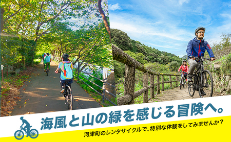 レンタサイクル E-BIKE 1日利用券 6,000円分 利用券 体験チケット 観光 自転車 アシスト付き アクティビティ 移動手段 河津町 静岡県