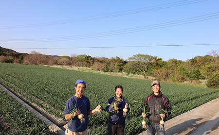 淡路島産玉ねぎ 7kg 野菜 淡路島産 玉ねぎ 玉葱 善太 兵庫県 洲本市 淡路島