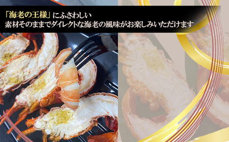 ボイル いせえび 1尾 セット 詰め合わせ カット済み 淡路島由良産 ボイルエビ 伊勢海老 エビ 海老 えび 魚介 魚介類 海鮮 海鮮セット 冷蔵 洲本市　お届け：2026年5月上旬～2027年1月末まで
