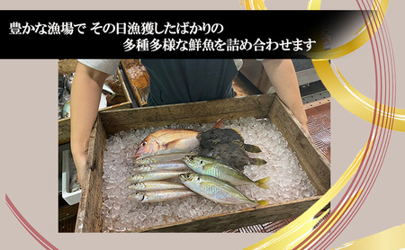 淡路島由良港の朝獲れ 鮮魚セット 2人前 魚 鮮魚 魚介 魚介類 海鮮 新鮮 セット 詰め合わせ 淡路島 洲本市