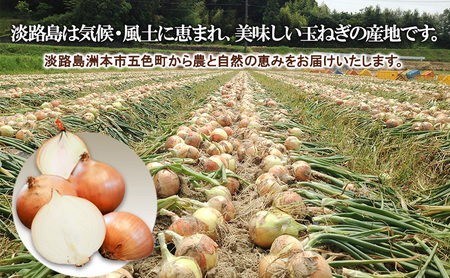 自然栽培 玉ねぎ 10kg セット 詰め合わせ 淡路島産 栽培期間中 無肥料 無農薬 淡路島産玉ねぎ 淡路島玉ねぎ 野菜 玉葱 洲本市　お届け：2025年5月上旬～2025年11月下旬