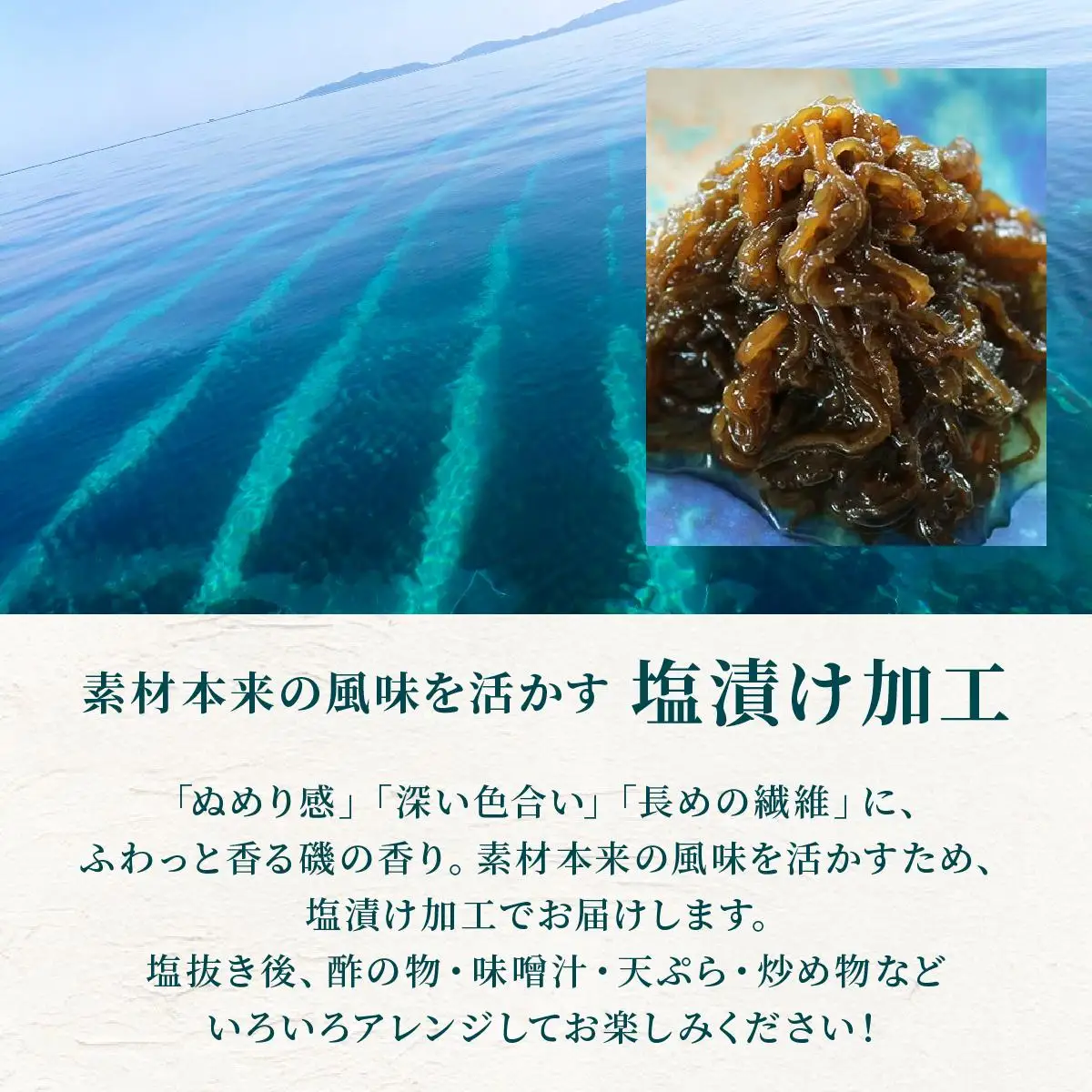 石垣島産・塩もずく（業務用一斗缶・18kg） KS-12