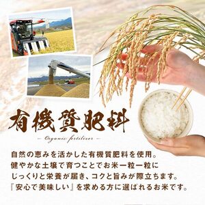 【令和7年度産】ゆめぴりか 玄米 10kg (5kg×2袋)【小玉農園】【CF-007】