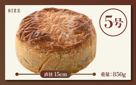【数量限定】飴色りんごの贅沢アップルパイ 5号ホール：直径15cm (4?5人前) 850g 【アップルパイ りんご ケーキ 焼き菓子 スイーツ デザート 果物 フルーツケーキ 洋菓子 贈答 ギフト】 [A-5210]