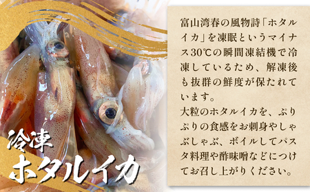 ほたるいか三昧 ホタルイカ イカ 漬け 素干し 富山県 氷見市 　ホタルイカ