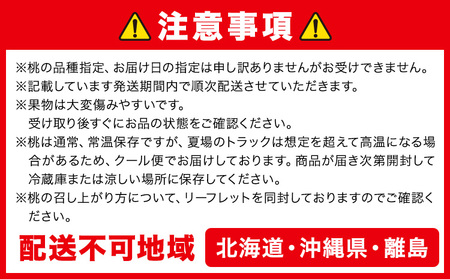 桃&ぶどう詰合せ 白桃 2玉 シャインマスカット 2房【配送不可地域あり】桃 ぶどう