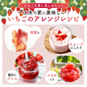 冷凍いちご 1000g いちご 冷凍いちご 【極実屋】