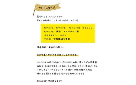＜早期予約・数量限定＞北海道ニセコ町 アスパラMサイズ2kg【2026年産】【3200201】