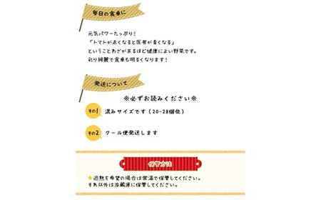 ＜早期予約・数量限定＞北海道ニセコ町 贅沢トマト4kg【2026年産】【32005】