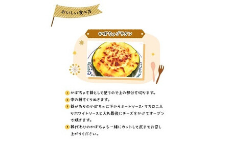 〈早期予約・数量限定〉北海道ニセコ町 かぼちゃ5kg【2026年産】【3200602】
