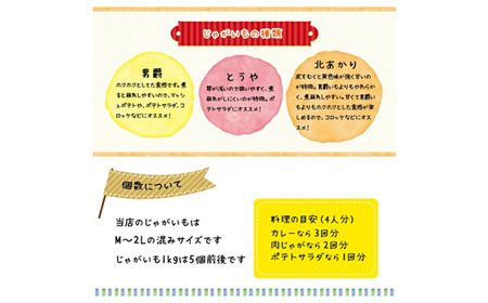 〈早期予約・数量限定〉北海道ニセコ町 訳ありじゃがいも男爵10kg【2026年産】【3201002】