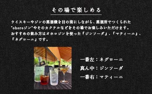 【数量限定先行受付！】北海道ニセコ町産　ohoro GIN Limited Edition ラベンダー 700ml【09149】