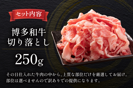 牛肉 訳あり A4 A5 博多和牛 切り落とし 250g [木村食品 福岡県 筑紫野市 21761362]