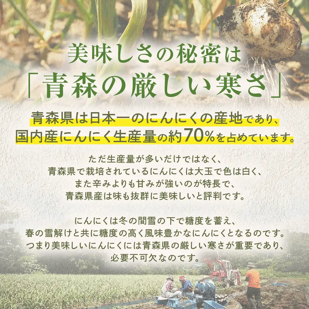 青森県産にんにく 使用！ 七味にんにく 75g×３本