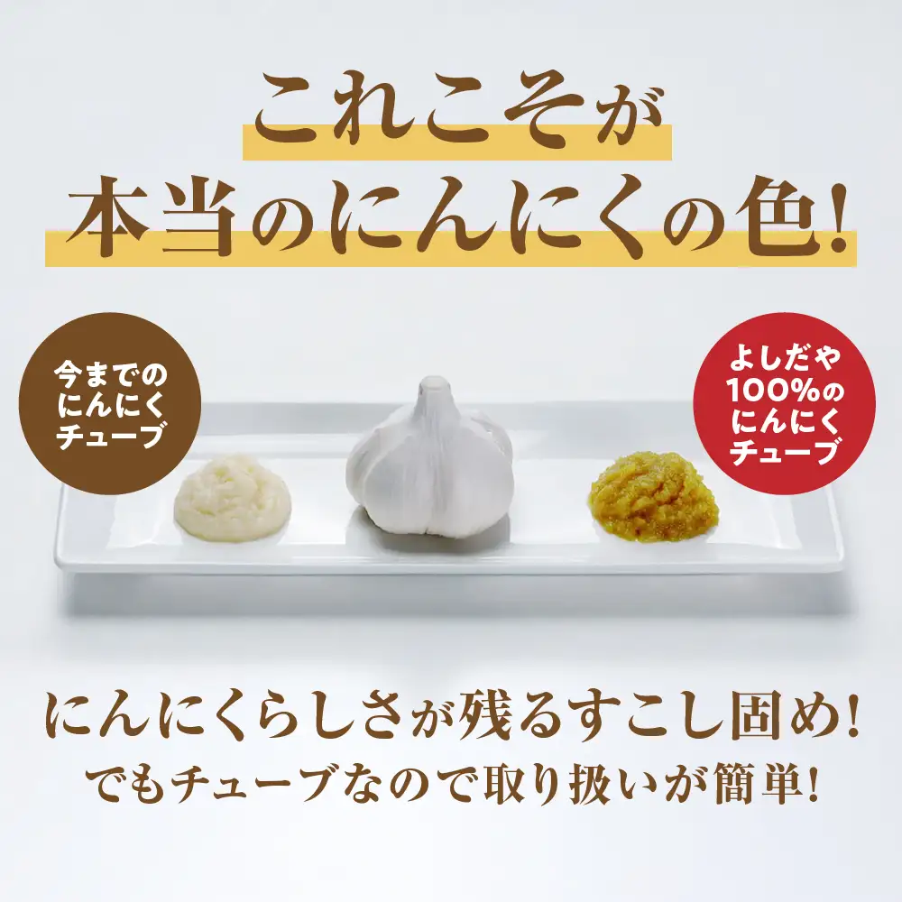青森県産にんにく すりおろし 200g×２本 チューブ にんにく
