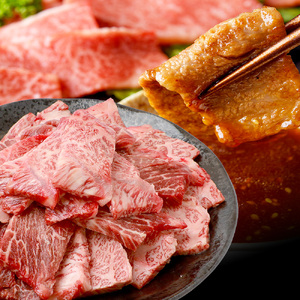 【定期便12回】くまもと 黒毛和牛 (和王) バラエティ 定期便E ブランド牛 定期便 肉 サーロイン ロース ステーキ モモ すき焼き しゃぶしゃぶ スキヤキ 焼肉 焼き肉 やきにく 牛肉 お肉 1年 12か月 定期便 プレミアム品質 122-0609