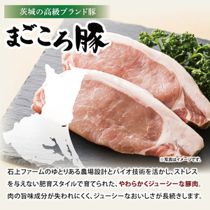 【茨城県共通返礼品】国産まごころ豚ハンバーグ200g×10個【高品質 豚肉 銘柄豚 ブランド豚 人気豚肉 個包装 冷凍 茨城県産 阿見町】(92-02)