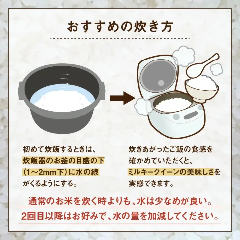 【令和7年産】定期便 ≪3ヶ月連続お届け≫ ミルキークイーン 精米 5kg × 3回（計15kg）《お米マイスターが発送直前に精米！》／ 米 お米 福井県産 ブランド米 ご飯 白米 新鮮 [aw064-d009]