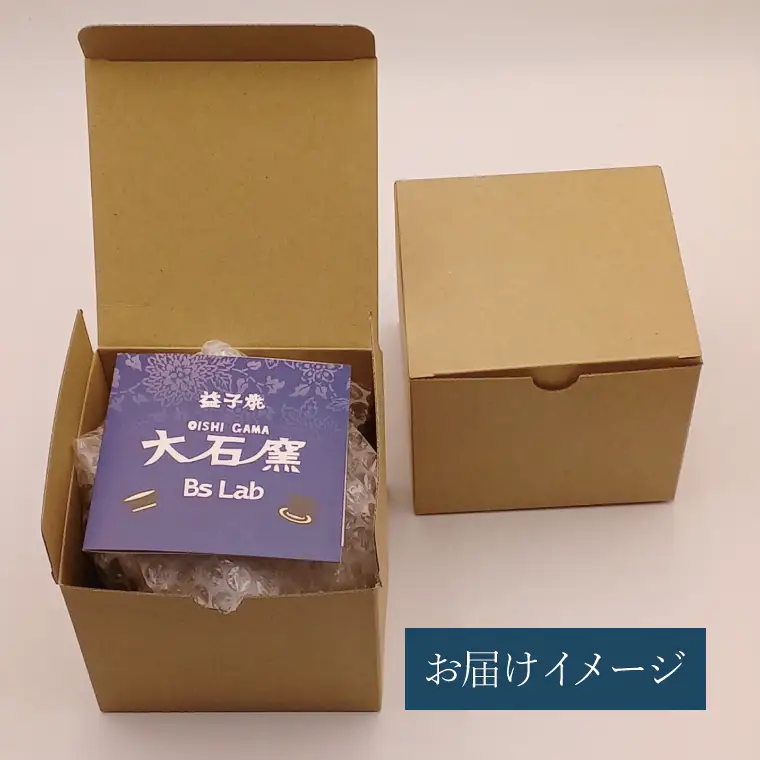 益子焼 恐竜マグカップ T-rex Stan 大石窯 益子町 BW004-4