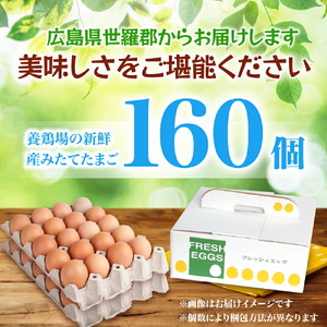 ふみちゃん家のたまご160個入 広島県 卵 タマゴ 玉子 たまご 新鮮 世羅 生みたて卵 卵かけごはん ふみちゃん だし巻き オムライス スイーツ TKG A027-03