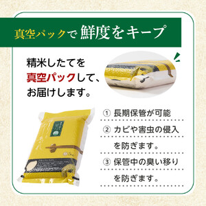 【6回定期便】白米 特A ななつぼし 5kg 無洗米 真空パック 北海道 旭川市 定期便 精米 _05390