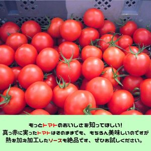 真っ赤なトマトのピリ辛ソース（300ml×3本）調味料 焼きそば お好み焼き 揚げ物 オムレツ 旨辛 パスタ ピザ トマト とまと 広島 世羅 A007-03