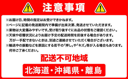 新高梨 約4kg 【配送不可地域あり】梨 なし