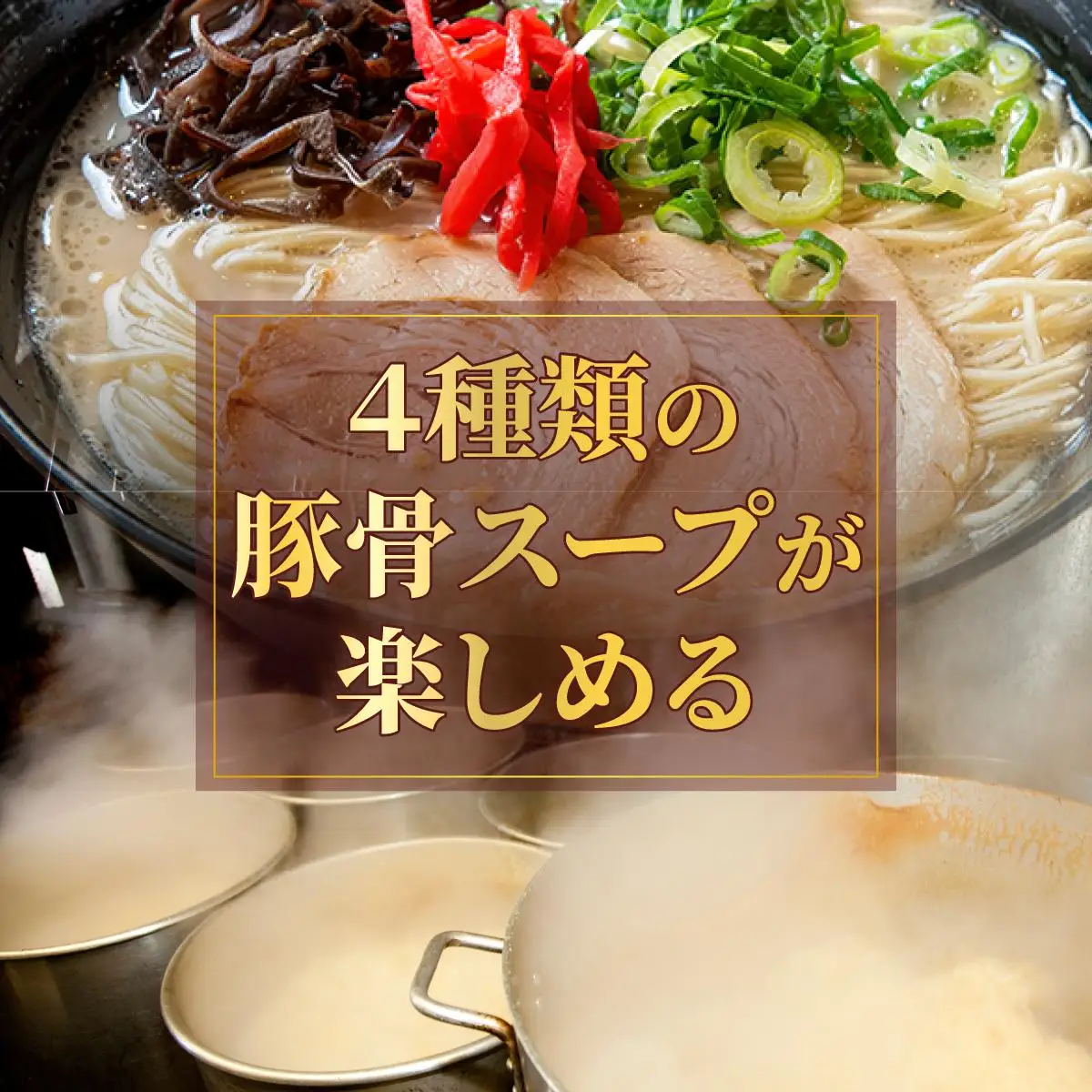 【4種の豚骨スープ】博多とんこつラーメン12食分【本場博多産のスープ】