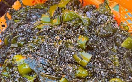 茎あり 塩蔵わかめ 約2.0kg 約400g×5袋セット 海藻 ワカメ 茎わかめ 茎ワカメ
