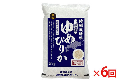 玄米 北海道赤平産 ゆめぴりか 5kg 特別栽培米 【6回お届け】 米 北海道 定期便 お米 ふるさと納税 