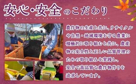 【有機JAS認証済み!】＜宮崎県産 有機ほしいも（紅はるか）200g（100g×2袋）＞翌月末迄に順次出荷 【c1498_yd】 干し芋 ほし芋 干しいも 芋 いも お芋 サツマイモ さつまいも さつま芋 紅はるか お菓子 菓子 和菓子 宮崎県 高鍋町