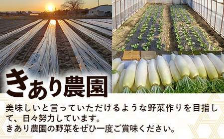 【きあり農園】2026年度 幸手市産 大根 10kg - 朝採れ ダイコン だいこん 産地直送 野菜 ベジタブル 美味しい おいしい 煮物 鍋 おでん おすすめ 送料無料 埼玉県 幸手市