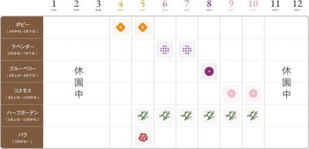 【香山ラベンダーの丘】年間パスポート1枚《香山ラベンダーの丘》ポピー ラベンダー コスモス ハーブ 年パス 観光 農園 A051-07