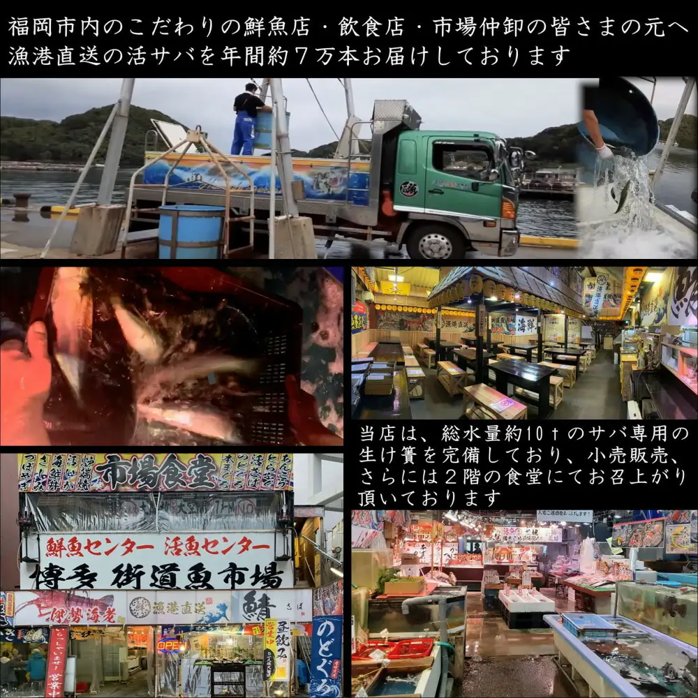 元祖 博多ごまさば 1皿３～４人前