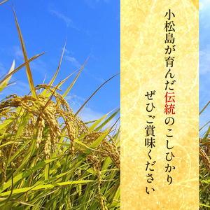 こしひかり 5kg 玄米 令和7年産 潮風米 ご飯 おにぎり ごはん お弁当 ギフト 贈答 プレゼント お取り寄せ グルメ 保存 防災 備蓄 送料無料 徳島 小松島