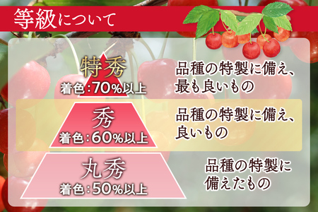 FYN6-524 ≪2026年先行予約≫山形県産 さくらんぼ 品種おまかせ(佐藤錦・紅秀峰など) 400g 秀/L以上 バラパック詰め 2026年6月中旬頃より発送 果物 くだもの フルーツ 夏果実 サクランボ チェリー 桜桃 高級 化粧箱 ギフト箱 贈り物 贈答 ギフト プレゼント 自宅 家庭 産地直送 山形県 西川町 月山