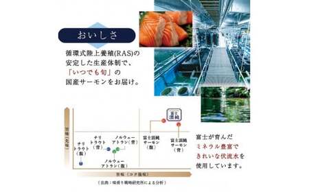 富士頂純サーモン 刺し身セット 半身分2分割 450g以上 富士山麓のきれいな天然水で養殖された安心安全なサーモン 完全無投薬・ワクチンフリー・アニサキスフリー・サステナブルな養殖サーモン フィレ 切り身 皮なし 骨なし 骨取り 生食 ムニエル 刺身 [注目]【n0556-0450_nes】