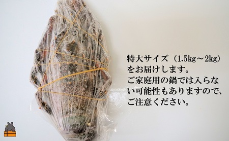 新鮮なまますぐ冷凍!!徳之島産冷凍“特大”伊勢海老1尾（1.5kg以上） （ 伊勢えび イセエビ 伊勢えび 伊勢エビ えび エビ 海老 鍋 ご馳走 海の幸 料理 焼き 人気 海産物 家族 正月 お祝い ）