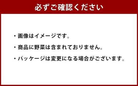 華味鳥 水炊きセット N （2～3人前） ちゃんぽん麺付き 水炊き 水たき 鍋 鶏肉 お肉 肉 セット 九州 福岡県 うきは市 冷凍