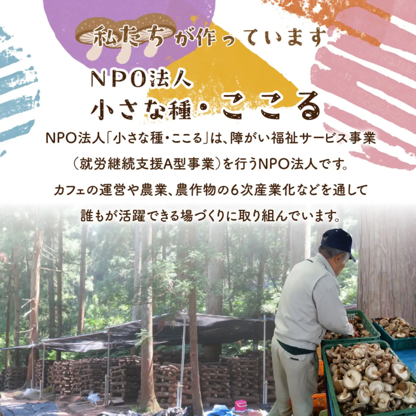 農家がつくったFARMER'sCURRY 200ｇ(1袋）×5袋