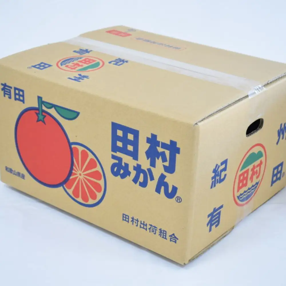 ［先行予約］［ブランドみかん］田村みかん 大玉 約9kg（3Lサイズ）★2026年11月下旬頃より順次発送