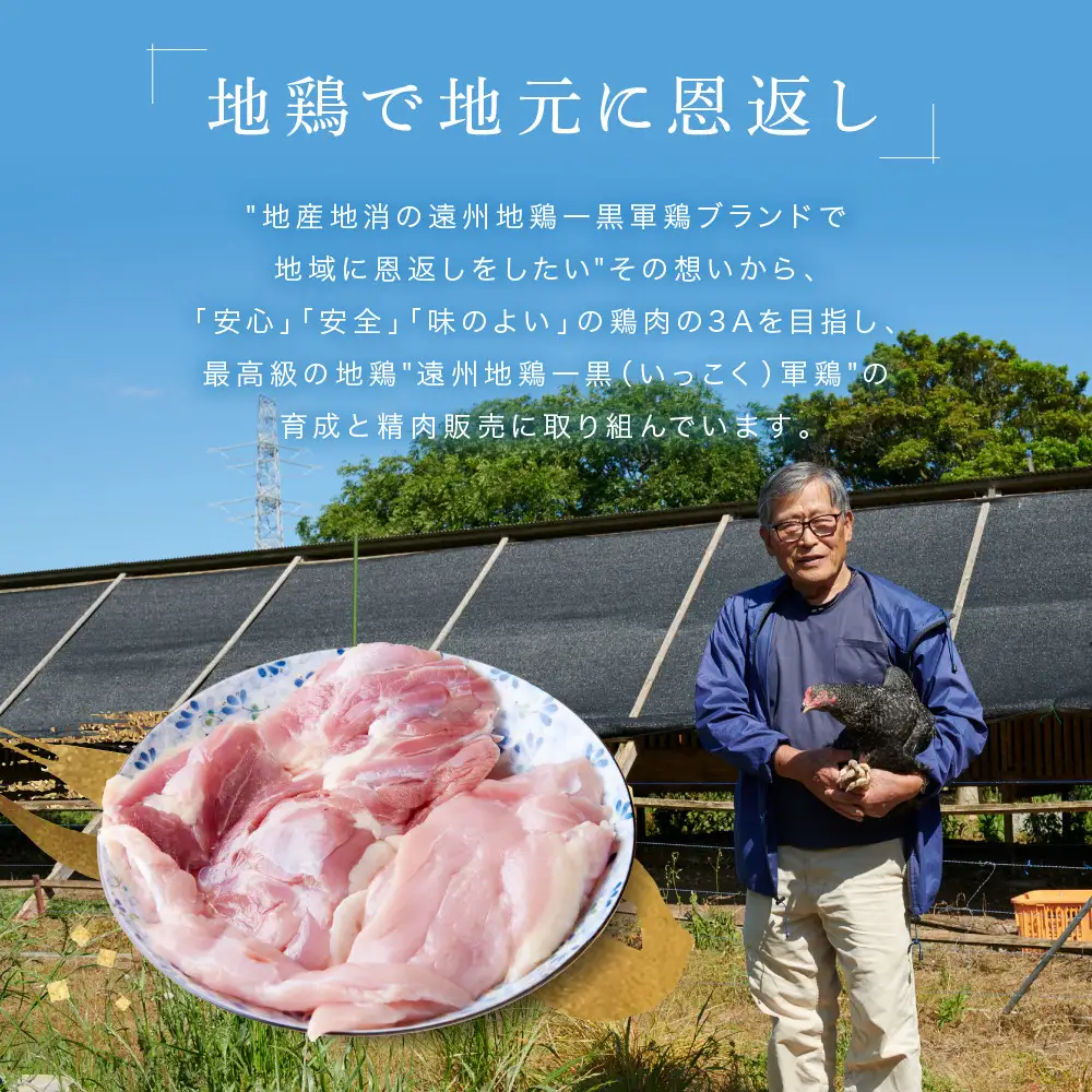遠州地鶏一黒シャモ使用！こだわりの焼き鳥串10本×3袋セット総量　約900g　地鶏 軍鶏 しゃも 冷凍 送料無料 もも むね 生肉 美味しい ヘルシー お取り寄せ 贅沢 記念日 お中元 お歳暮 自宅用 家庭用 国産