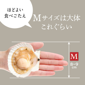 北海道 噴火湾産 ホタテ 片貝 サイズ M 20枚 内浦湾 噴火湾 新鮮 一枚ずつ 急速冷凍 とても甘い 旨み バター醤油焼き 酒蒸し グラタン風焼き バーベキュー 網焼き 海の味覚 海鮮 魚介 貝 海産物 お取り寄せ 函館市 送料無料 _HD117-038