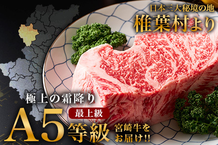 【A5ランク】 宮崎牛 すき焼き 2種 食べ比べ 肩ロース630g・牛もも630g 計1260g すき焼き しゃぶしゃぶ | ふるさと納税 すき焼き しゃぶしゃぶ 肉 牛肉 高級肉 黒毛和牛 国産 モモ 肩ロース 宮崎県 椎葉村 人気 送料無料 | TK-116
