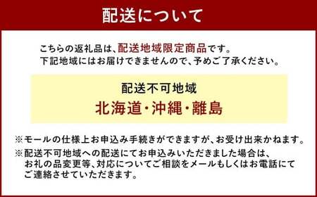 ぶどう 2026年 先行予約 ニュー ピオーネ 2房 合計1.2kg以上 ブドウ 葡萄  岡山県産 国産 フルーツ 果物 ギフト 河本農園 【2026年8月下旬発送予定】