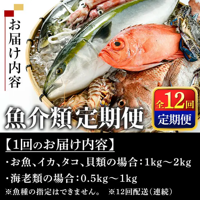 ＜定期便＞ 魚介類定期便 (全12回 ・連続) 魚 魚介 海鮮 いか イカ たこ タコ 貝 海老 えび エビ 冷蔵 【opba001】【海べ】