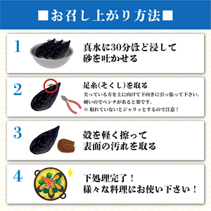 【先行予約】 国産 活ムール貝 1kg ＼ ムール貝 ／